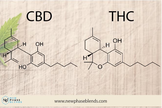 cbd vs thc
